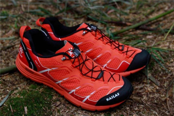 李宁详细资料_财经人物_财经_凤凰网(图1)