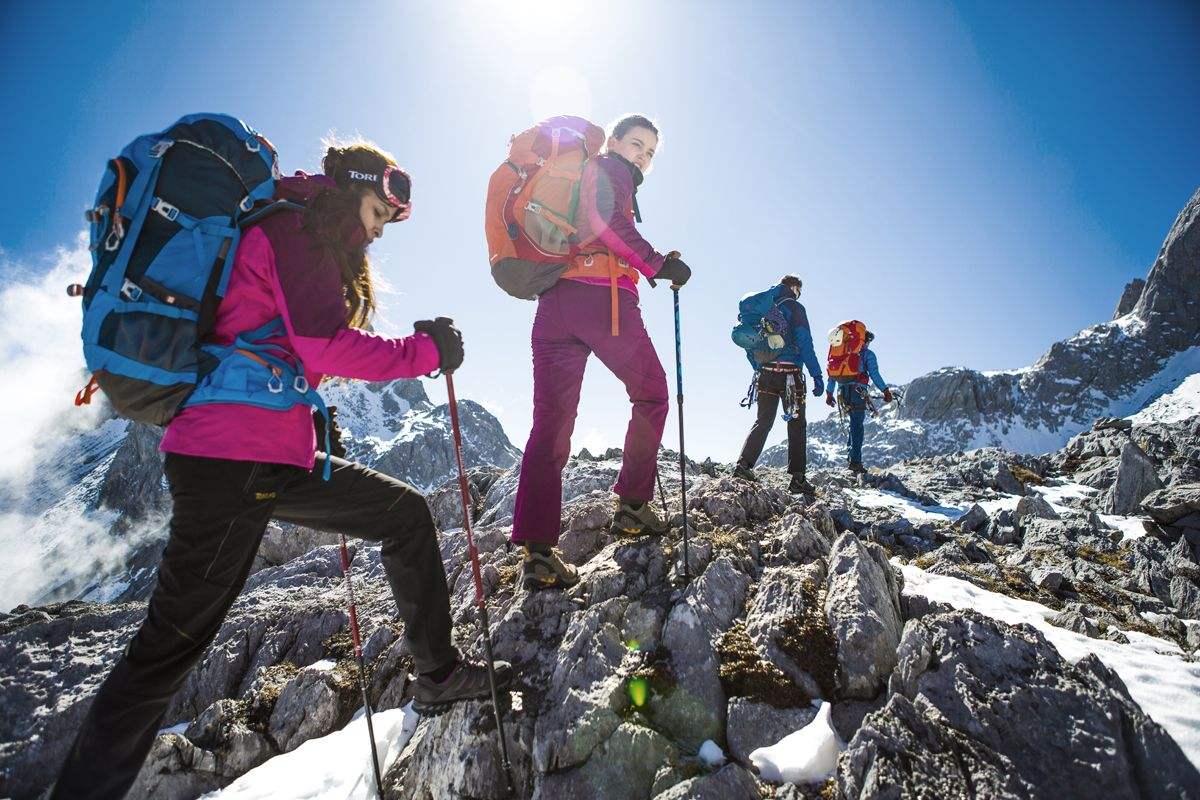 国内_河北新闻网(图1)